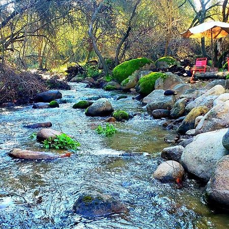 Magical River House ! 10 Min To Snp Park Entrance Three Rivers Dış mekan fotoğraf