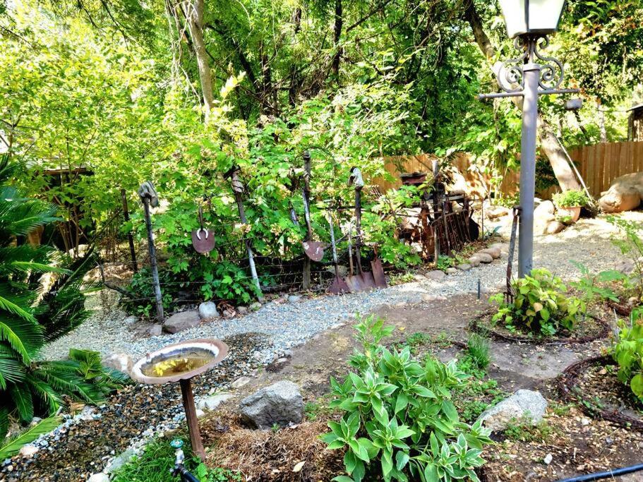 Magical River House ! 10 Min To Snp Park Entrance Three Rivers Dış mekan fotoğraf