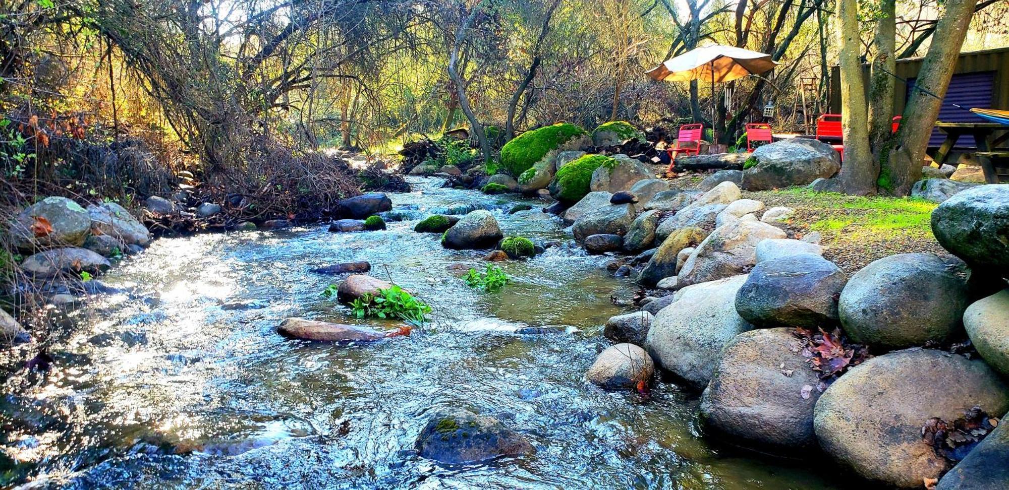 Magical River House ! 10 Min To Snp Park Entrance Three Rivers Dış mekan fotoğraf