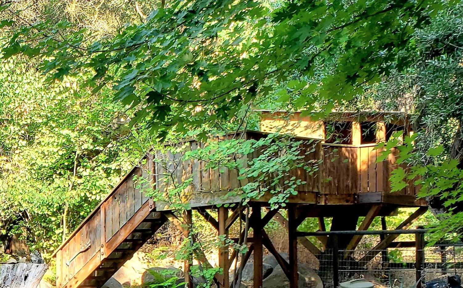 Magical River House ! 10 Min To Snp Park Entrance Three Rivers Dış mekan fotoğraf